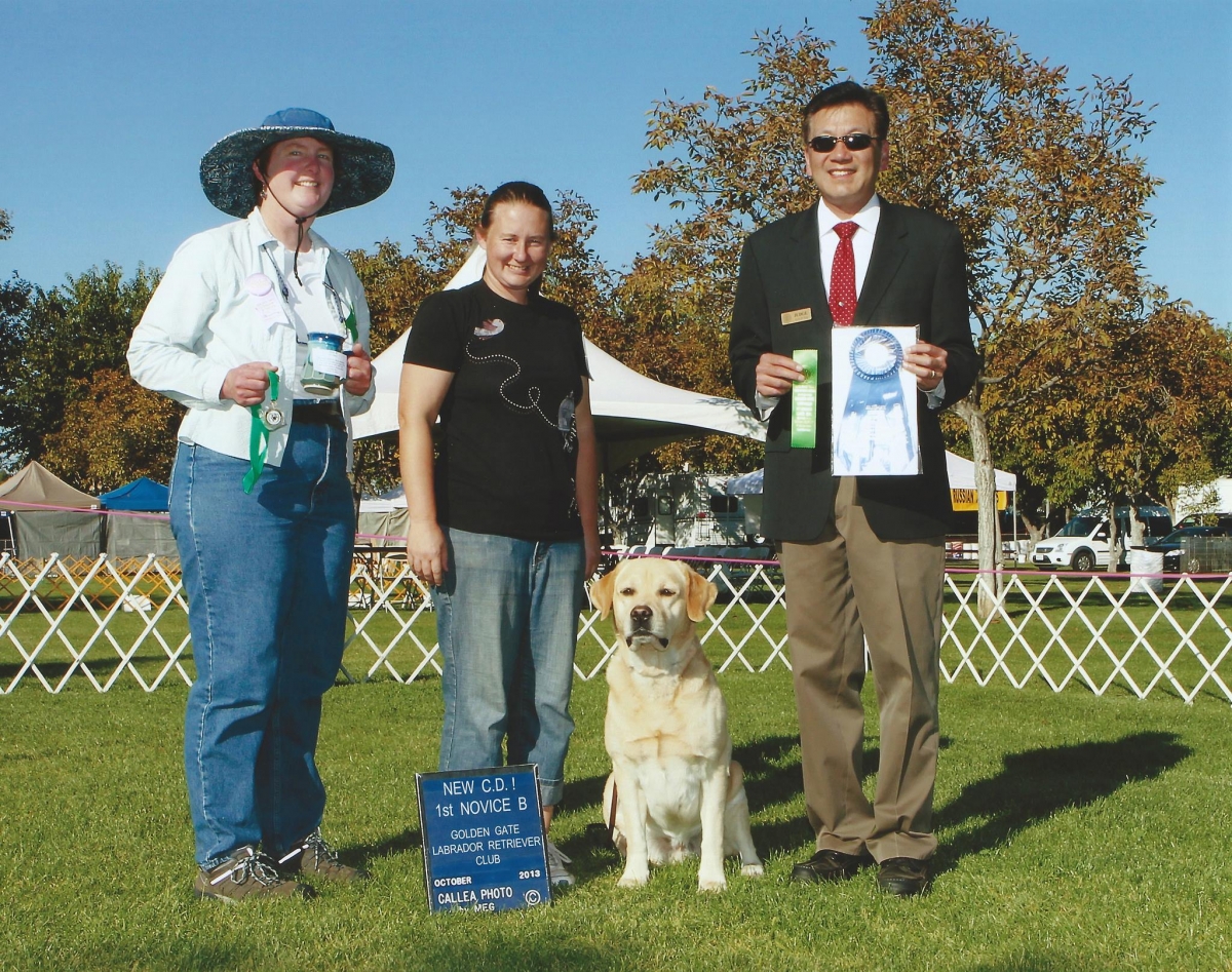 Conformation Shows – Central California Labrador Retriever Club