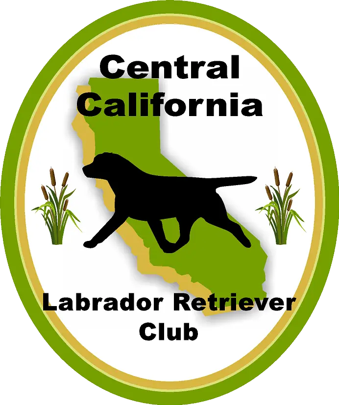 Central California Labrador Retriever Club